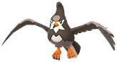 Staravia artwork
