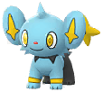 Shinx artwork