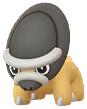 Shieldon artwork