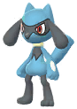 Riolu artwork