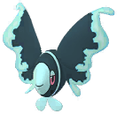 Lumineon artwork