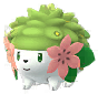 Shaymin artwork