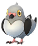 Pidove artwork