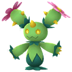 Maractus artwork