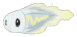 Tynamo artwork
