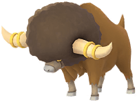 Bouffalant artwork