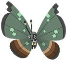 Vivillon (Jungle) artwork