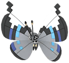Vivillon (Monsoon) artwork