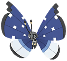 Vivillon (Polar) artwork