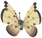 Vivillon (Sandstorm) artwork