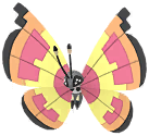 Vivillon (Sun) artwork