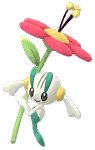 Floette artwork