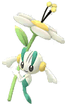 Floette (White Flower) artwork
