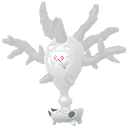 Cursola artwork