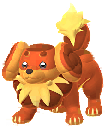 Dachsbun artwork