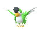 Squawkabilly artwork