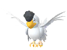 Squawkabilly (White Plumage) artwork