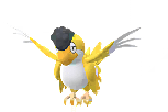 Squawkabilly (Yellow Plumage) artwork