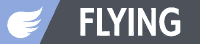 flying Type Icon