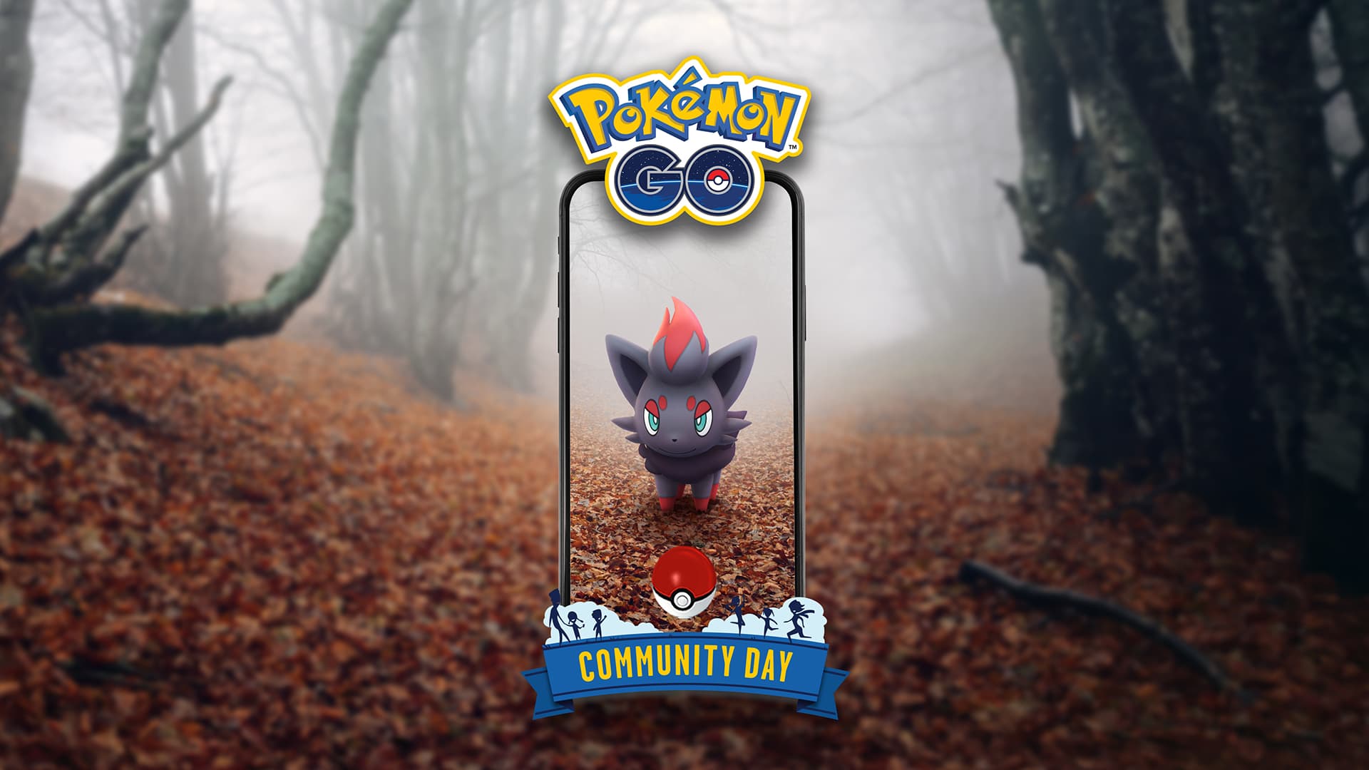 Zorua for Community Day