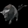 Tauros