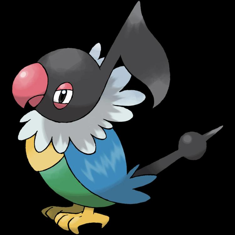 Chatot(chatot) official artwork