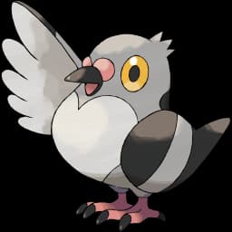 Pidove official artwork