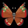 Vivillon