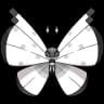 Vivillon
