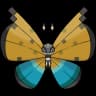 Vivillon