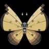 Vivillon