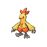 Combusken (combusken) game sprite