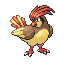 Pidgeotto (pidgeotto) game sprite