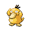 Psyduck (psyduck) game sprite