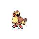 Pidgey (pidgey) game sprite
