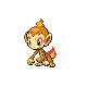 Chimchar (chimchar) game sprite