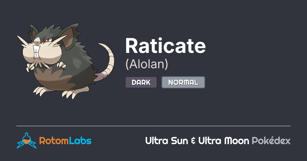 Alolan Raticate Size Alolan Raticate | RotomLabs Ultra Sun & Ultra Moon Pokédex
